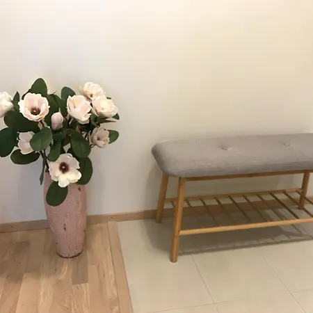 Korter Riia 22b Apartment *